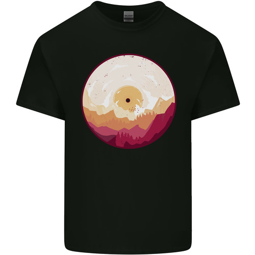 Vinyl landscape record - vinyl,